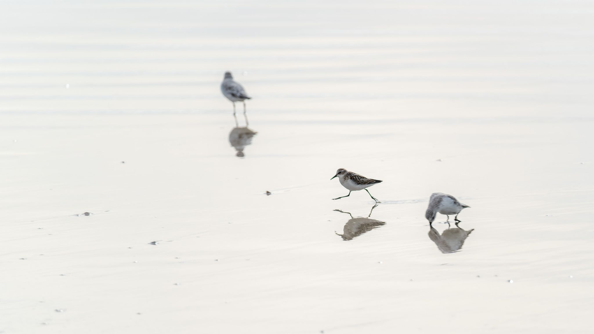 20250928 165900 Plouharnel   La Guérite, Rue de la Plage, Sainte Barbe
